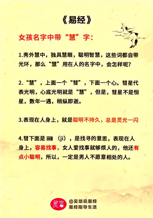 女星名字带慧如何定位？解读智慧型艺人发展新机遇